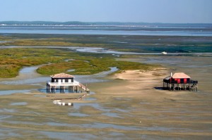 Arcachon - Cabanes tchanquées