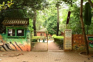 Jardin des plantes Porto Novo - Que faire au Bénin