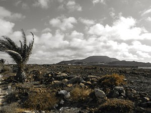 Paysage désertique - que faire à Fuerteventura