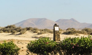 Volcan La Oliva - que faire à Fuerteventura