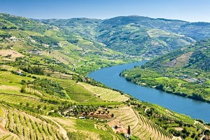 que faire à porto - vallée du douro