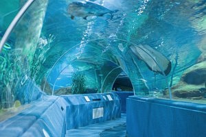 Dubai - aquarium