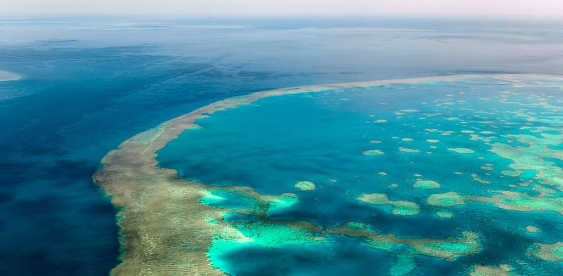 Croisière à la grande barrière de corail guide pour une excursion de