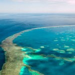 croisière a la grande barrière de corail