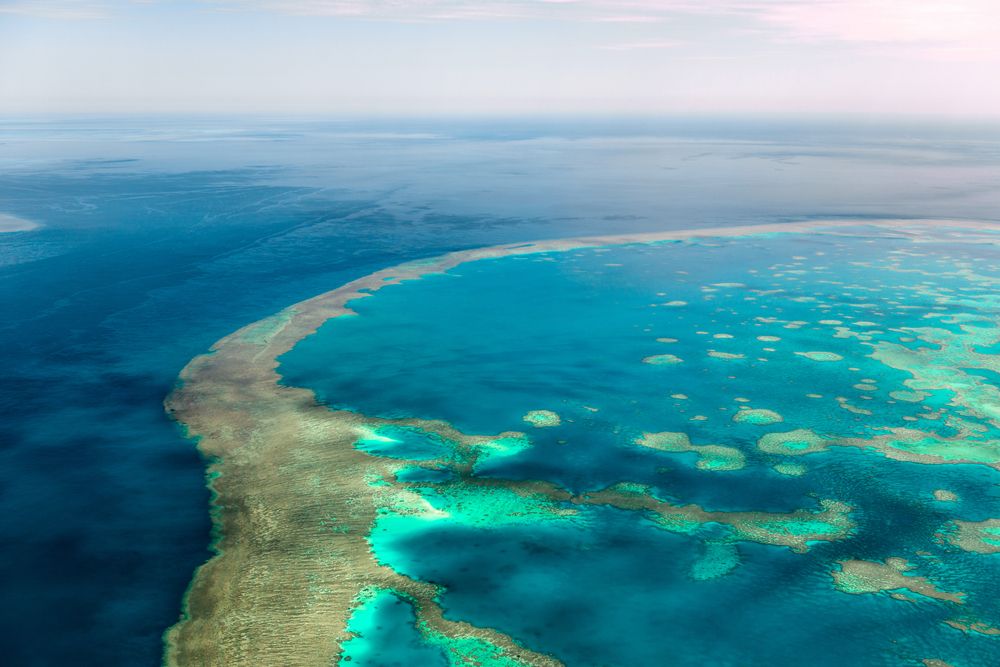 grande barrière de corail australie vue du ciel