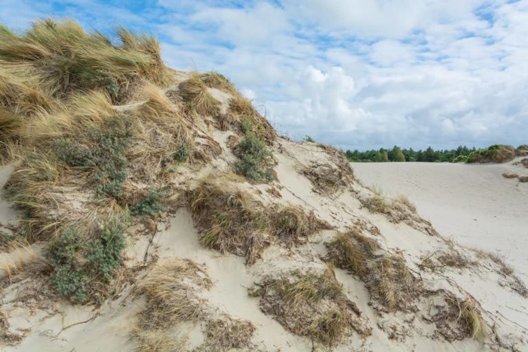 Pointe De Routhiauville Où De La Dune Blanche